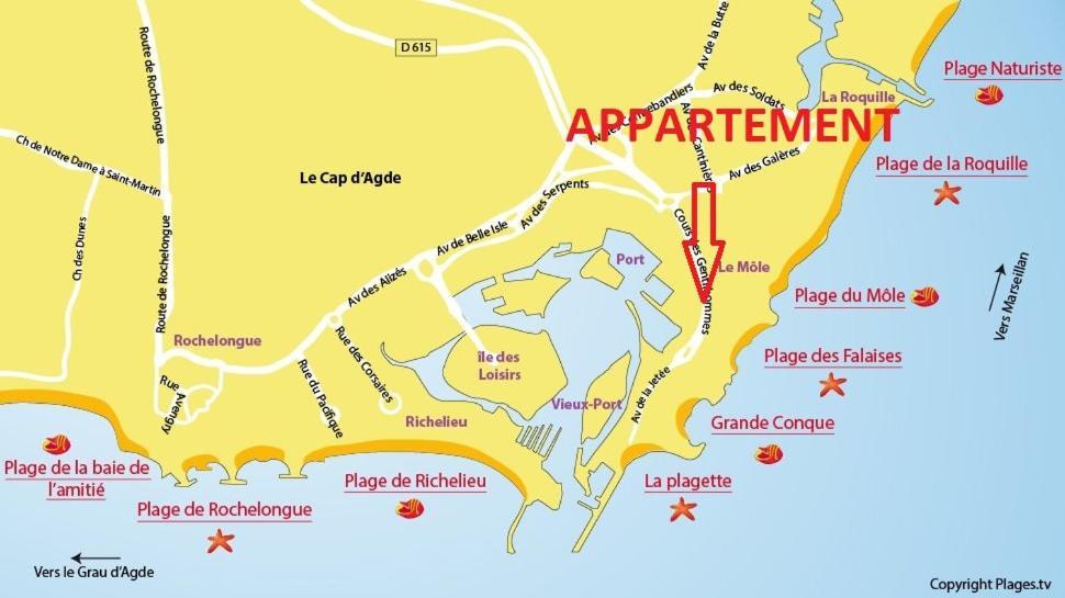 Cap D'Agde 300M Plage Du Mole,Vue Port,Parking,Lave Linge,Piscine 아파트 외부 사진