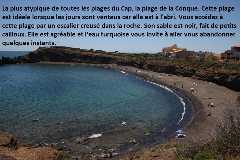 Cap D'Agde 300M Plage Du Mole,Vue Port,Parking,Lave Linge,Piscine 아파트 외부 사진